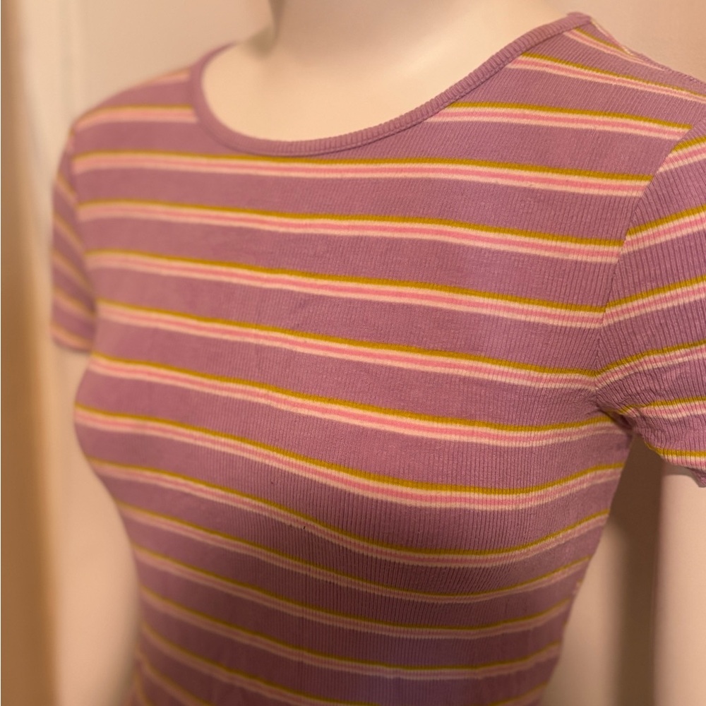 Striped Purple and Yellow Baby Tee Crop Top